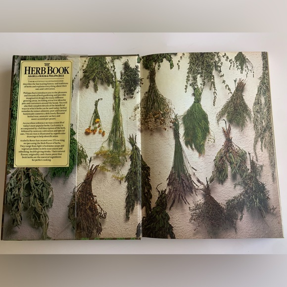 Vintage The Herb Book written by Arabella Boxer and Phillips Back circa 1980 - Picture 6 of 7